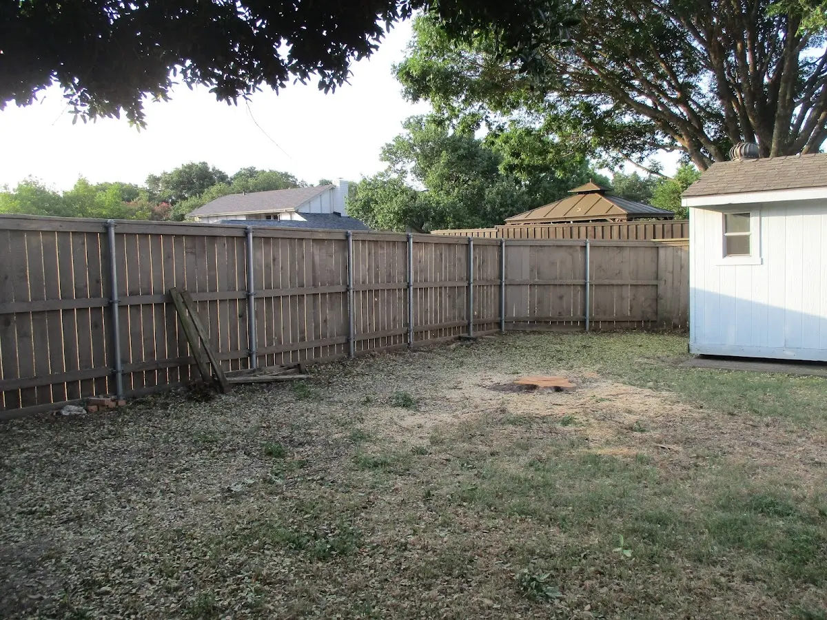 Cleared yard after professional tree removal in Banks